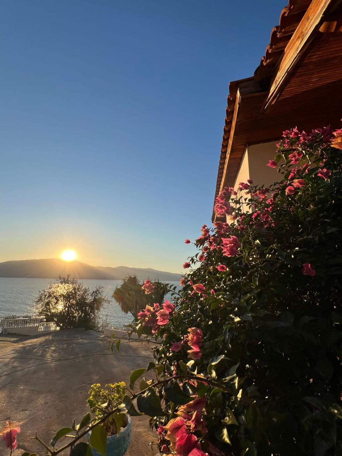 Blue Dream Holiday Hotel Vlore Exterior photo